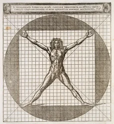 Ideal proportions revealed to be based on the human body, from 